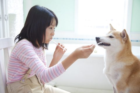 犬＿歯ブラシ＿歯磨き