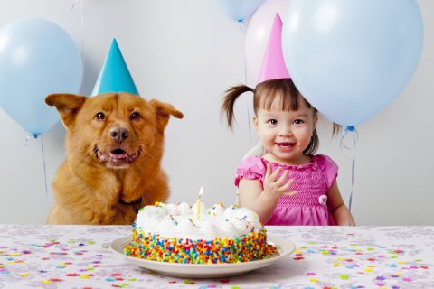 犬　誕生日