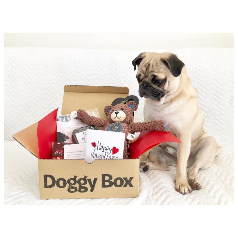 Doggy Boxの商品画像