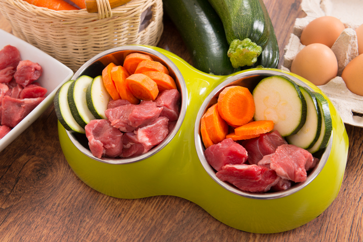 Natural, organic dog's food in a bowl with ingredients zucchini, carrot and raw meat