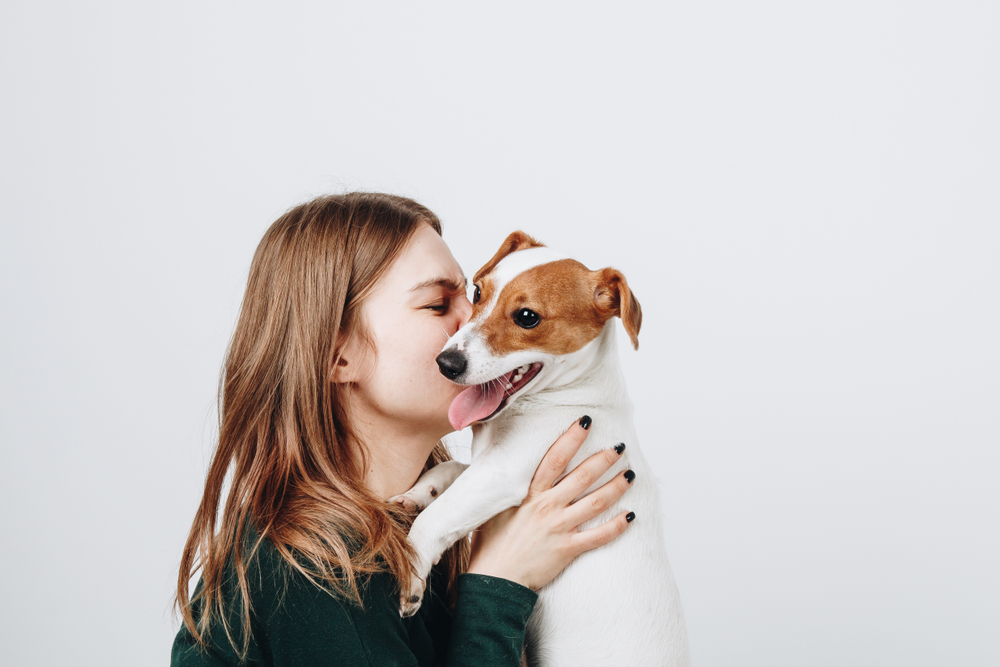 愛犬を抱える飼い主のイメージ画像