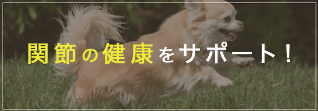 ミシュワン　小型犬用　ドッグフードの画像