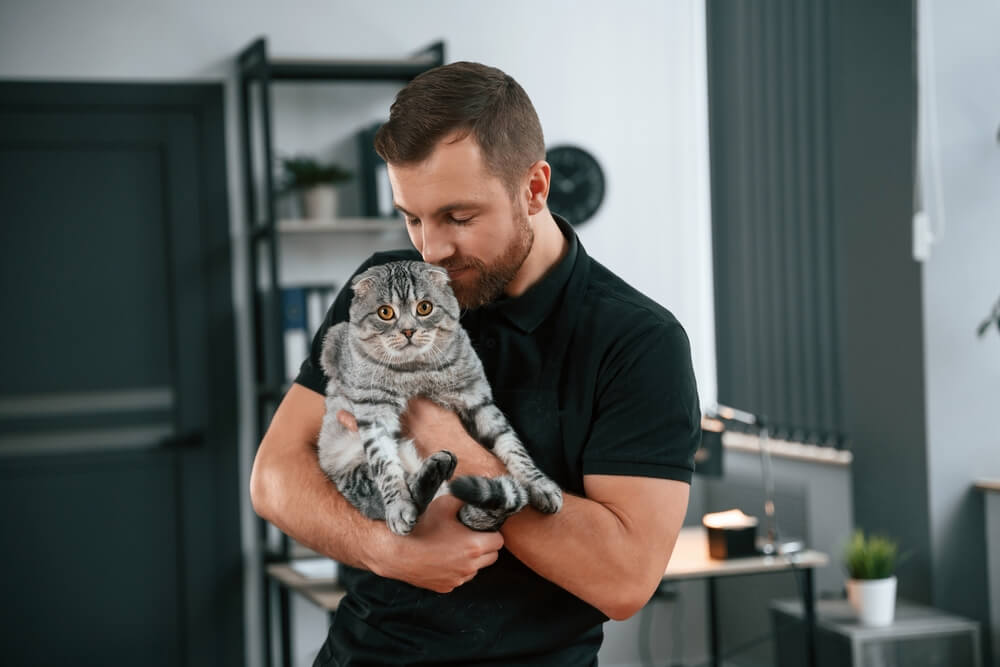 男性が猫を抱えている画像