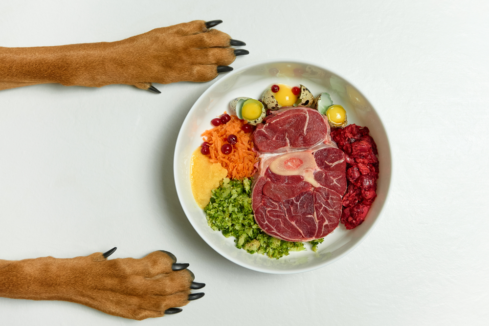犬の手足と野菜や肉の画像