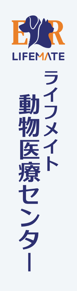 160×600ピクセル